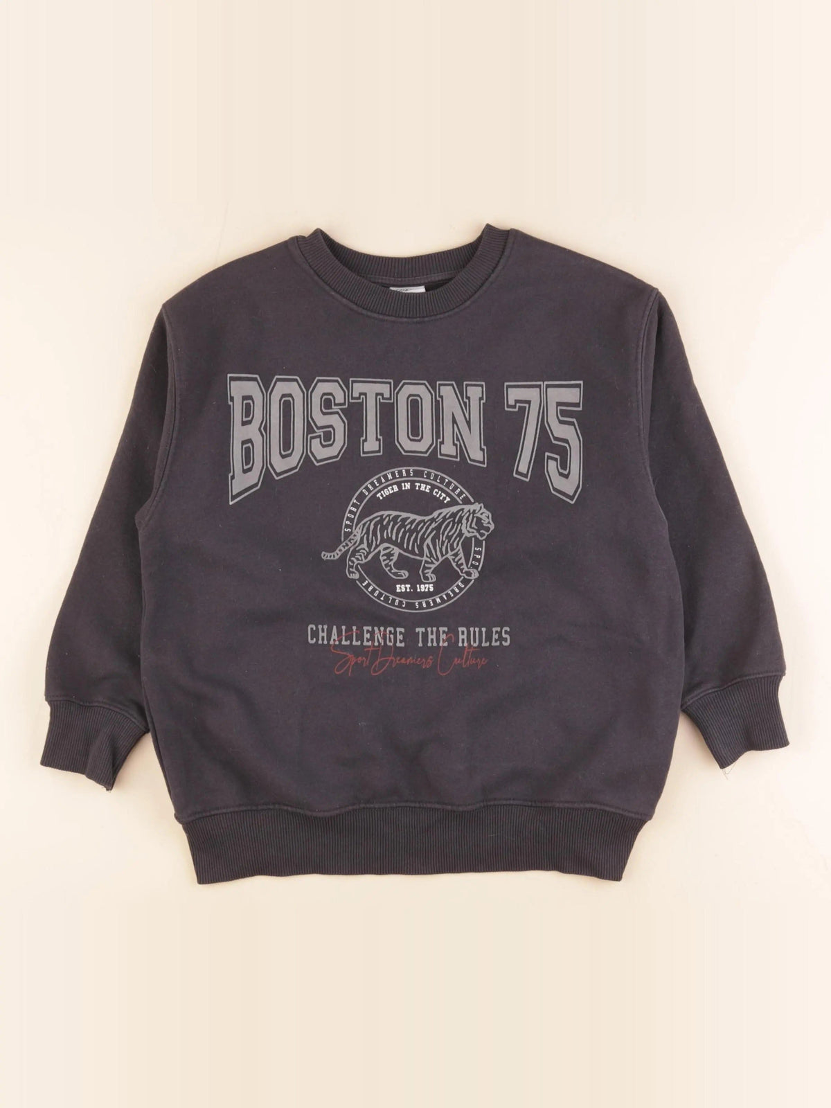 Sweat gris