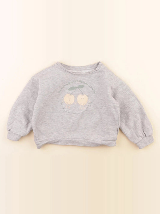 Sweat gris