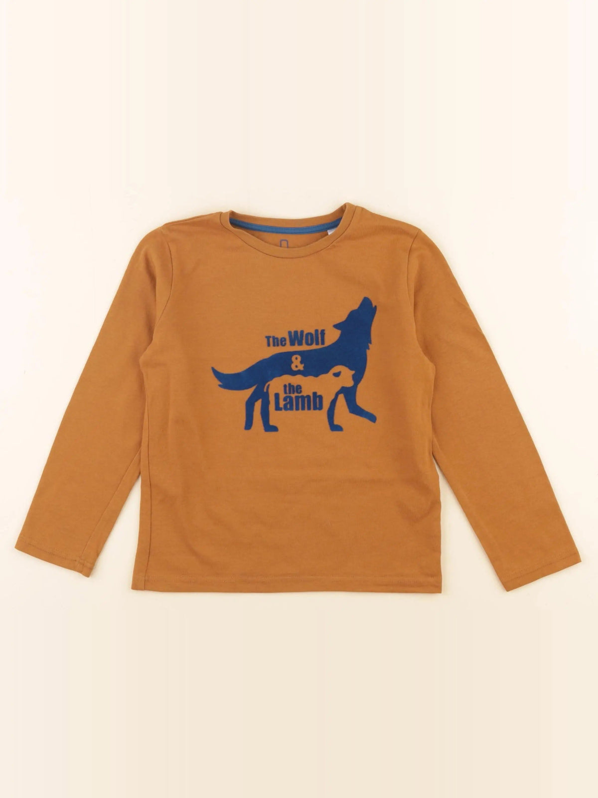 Tee-shirt marron, bleu