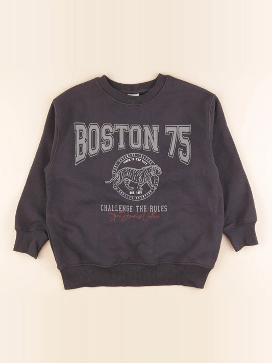 Sweat gris